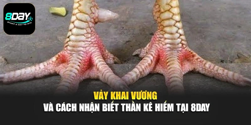 Vảy Khai Vương Và Cách Nhận Biết Thần Kê Hiếm Tại 8day